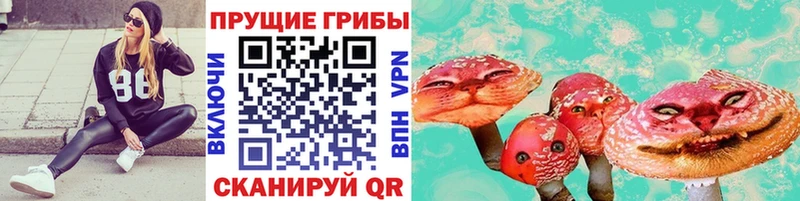 Галлюциногенные грибы Cubensis  Зверево 